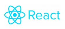 react reactjs